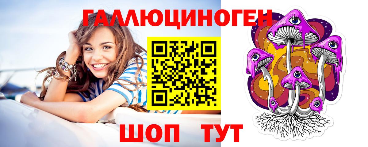 Новошахтинск  Псилоцибиновые грибы Cubensis  Вход с VPN  Галлюциногенные грибы GOLDEN TEACHER 